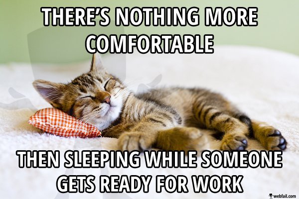 sleeping while work meme